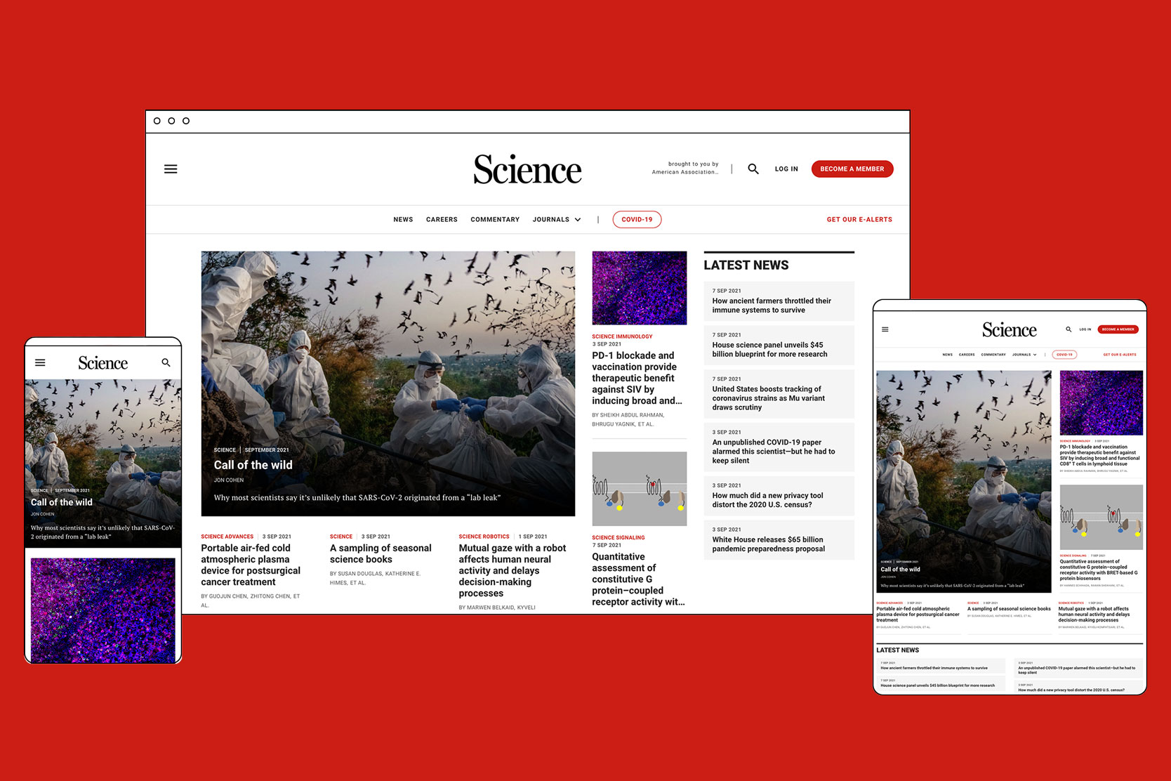 Science.org: Website redesign